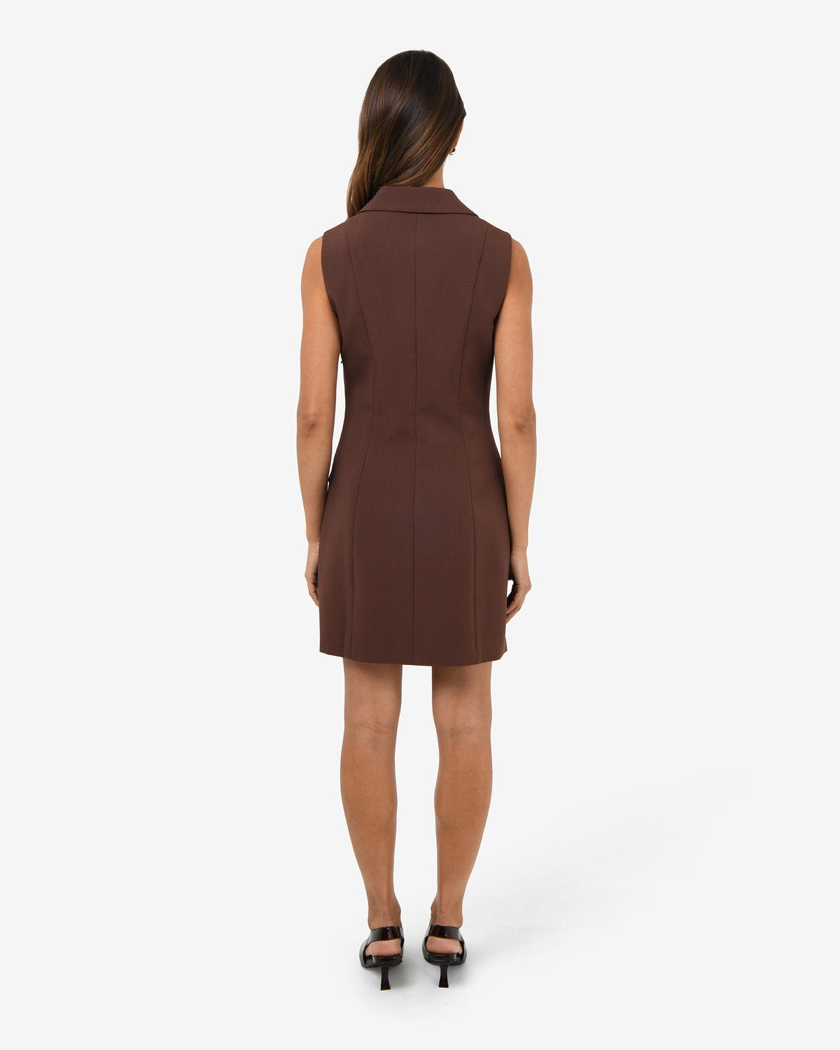 Nikki Double Breasted Dress in brown — back view