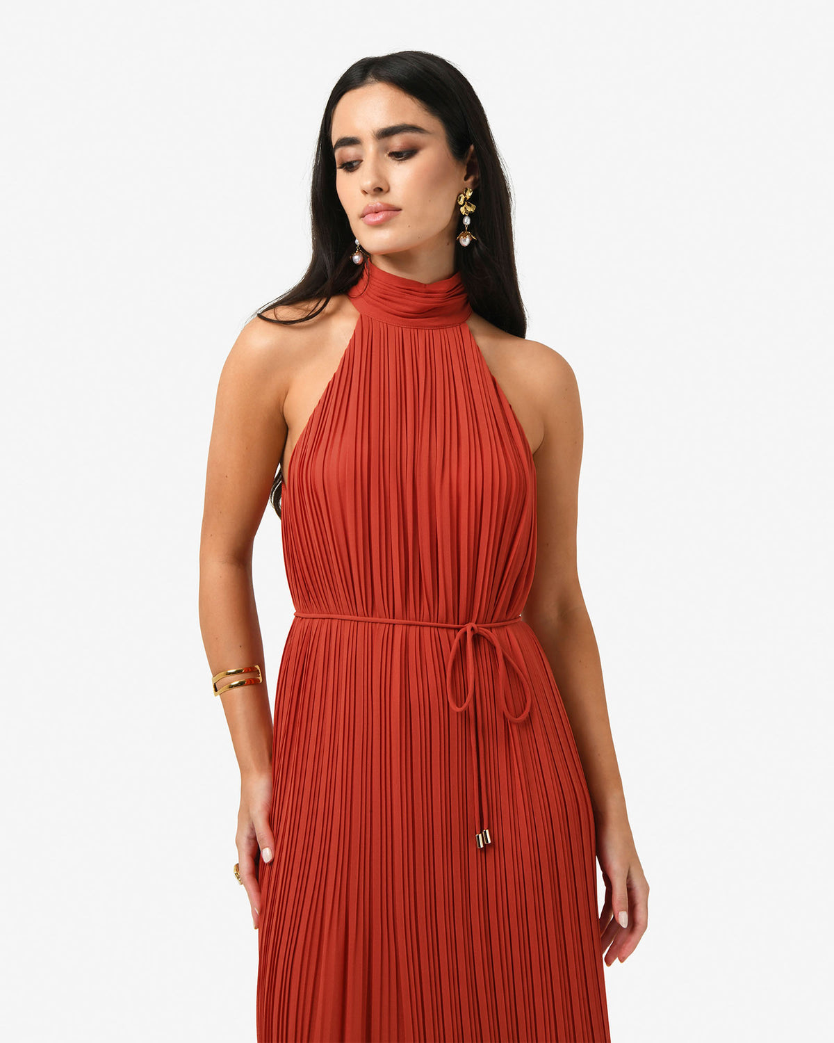 Shelly Chiffon Pleated Dress in burnt orange — close-up view