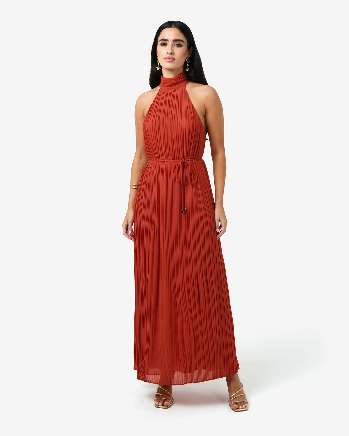Shelly Chiffon Pleated Dress in burnt orange — full-length view