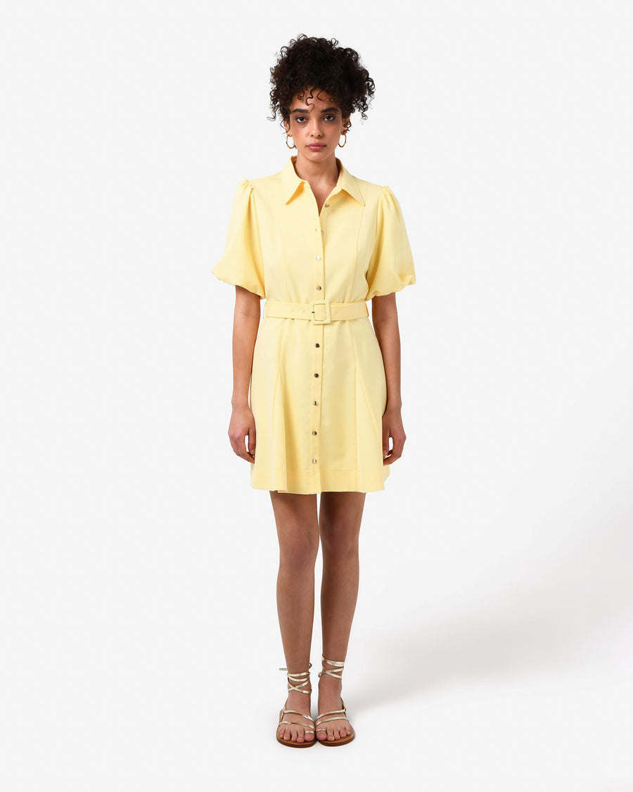Amera Belted Mini Dress in banana — full-length view