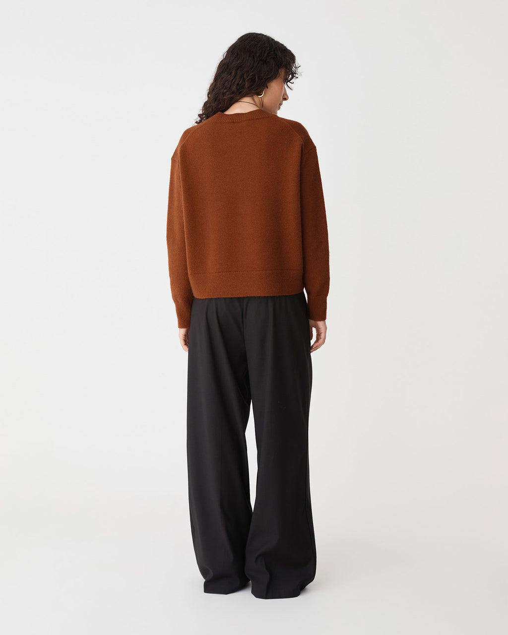 Joyli Round Neck Knit in rust — back view