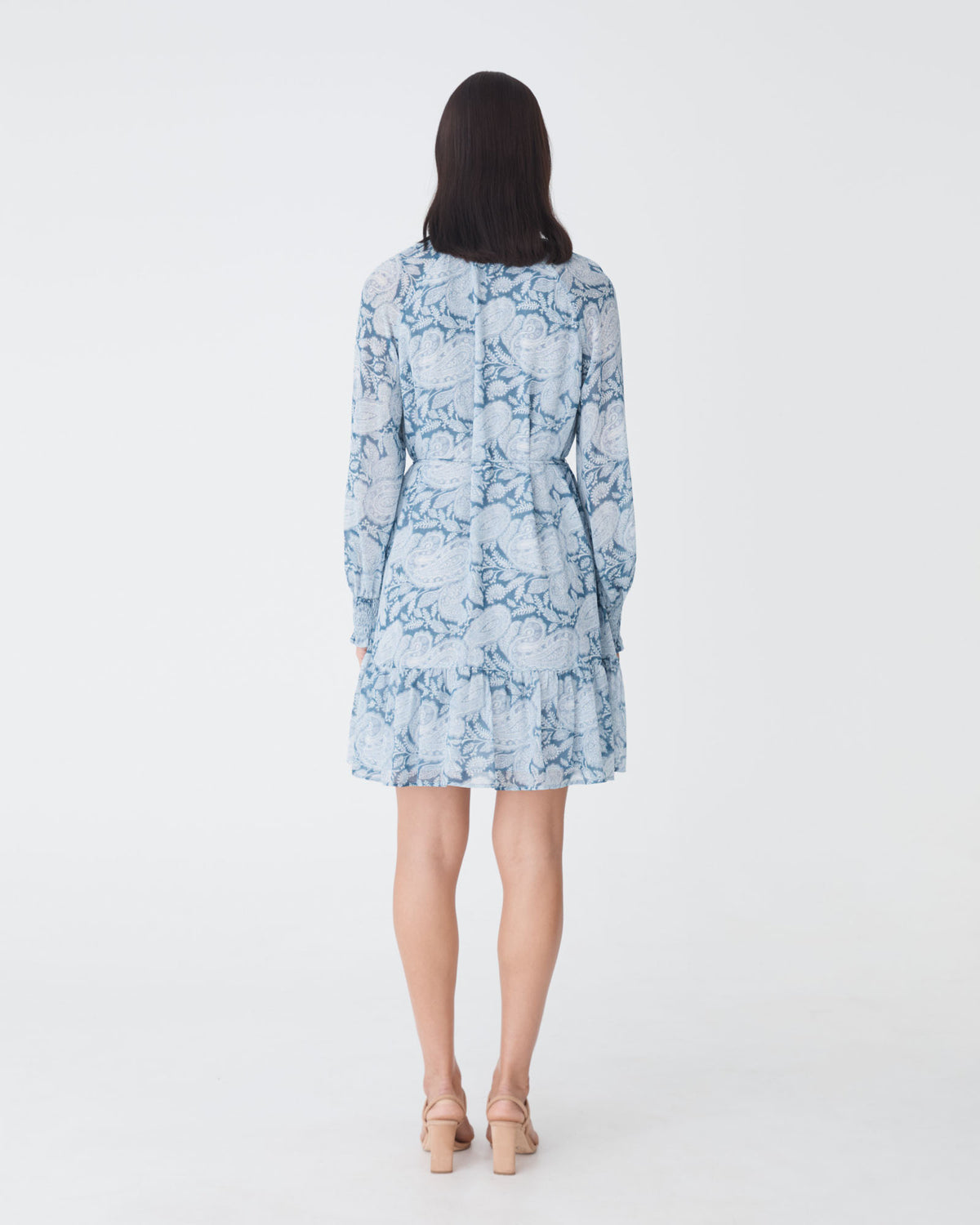 Angie Long Sleeve Dress in blue paisley — back view