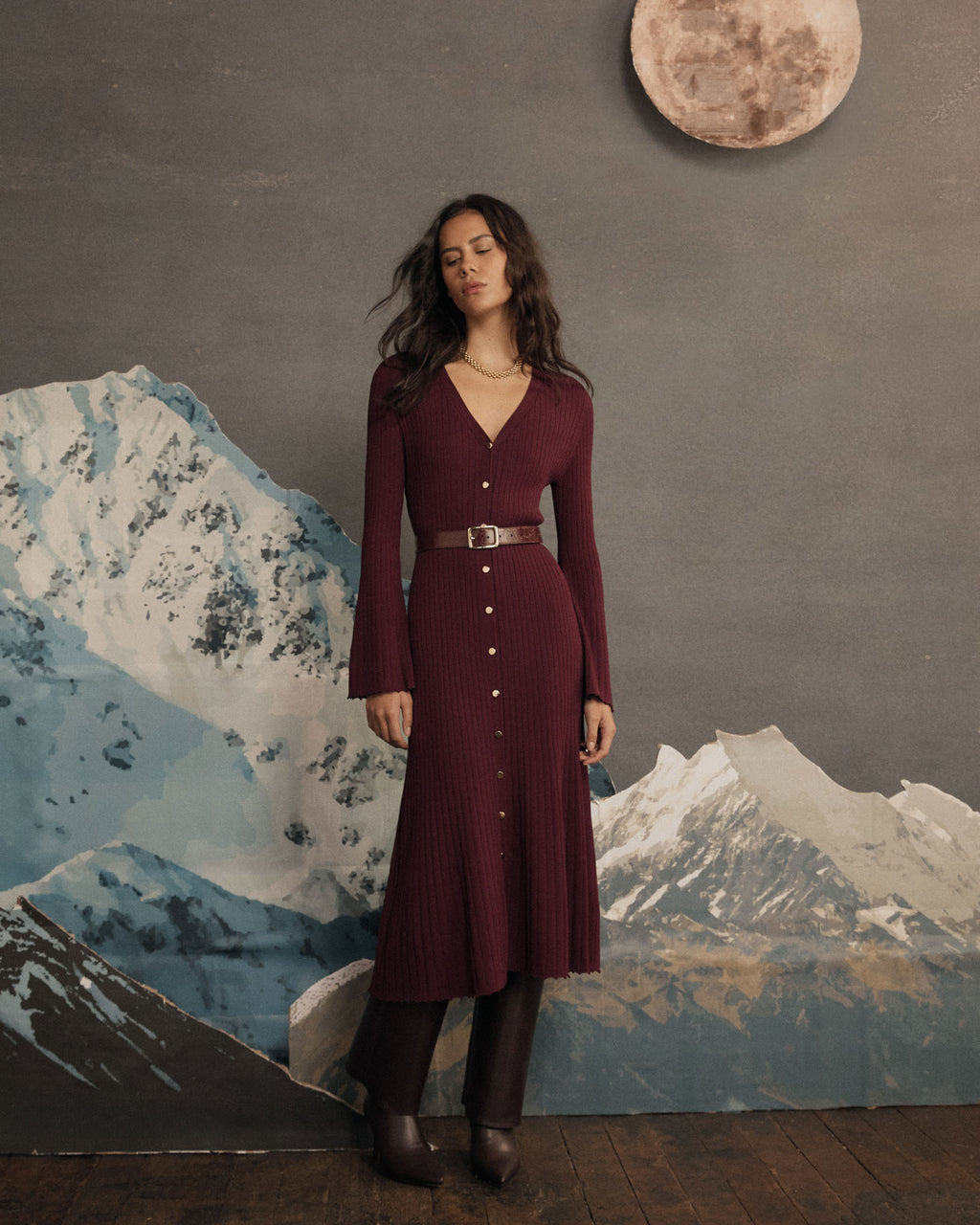 Danica V-Neck Rib Knit Dress in mahogany — alternate view