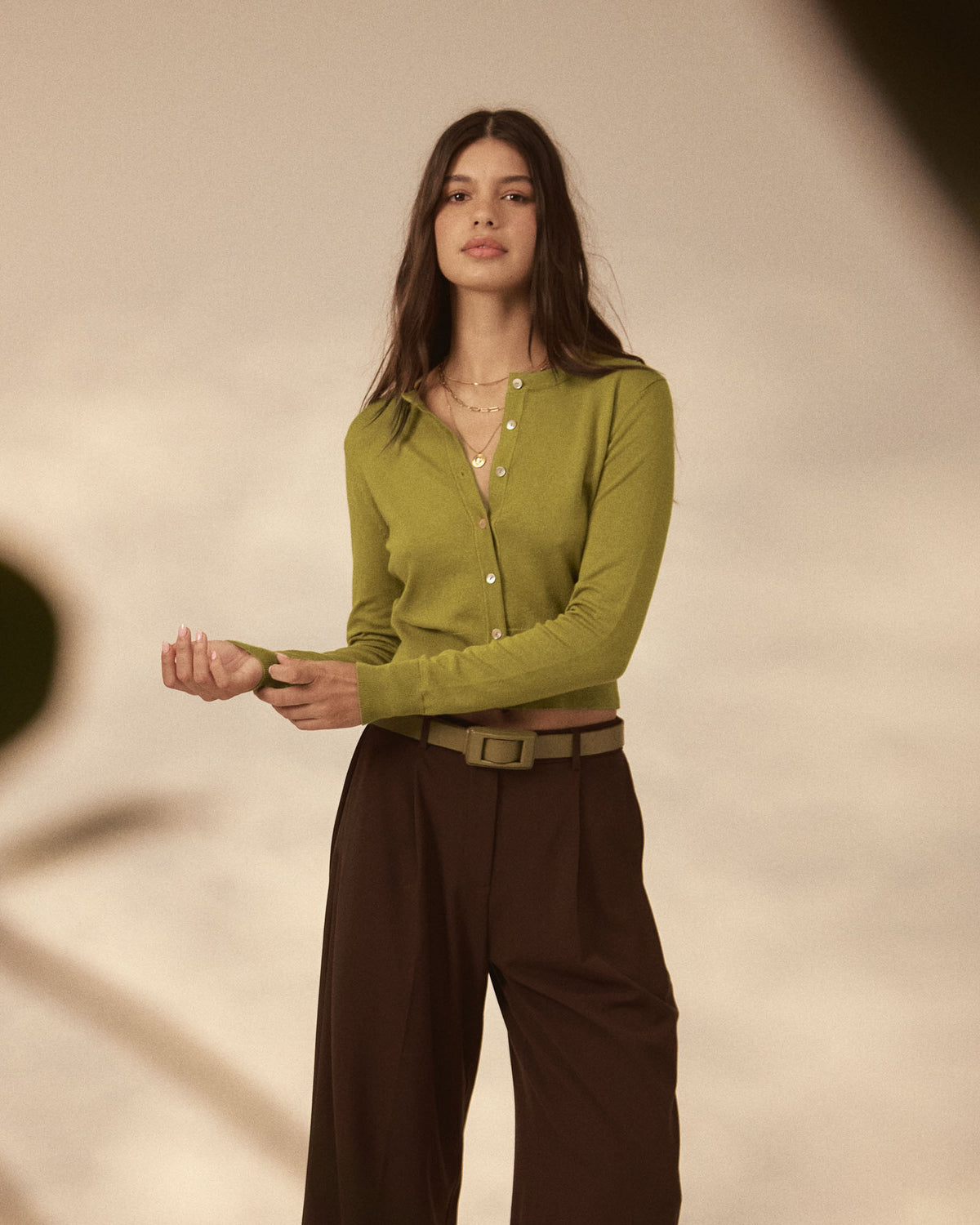 Jessie Crew Neck Cardigan in fennel — close-up view 3