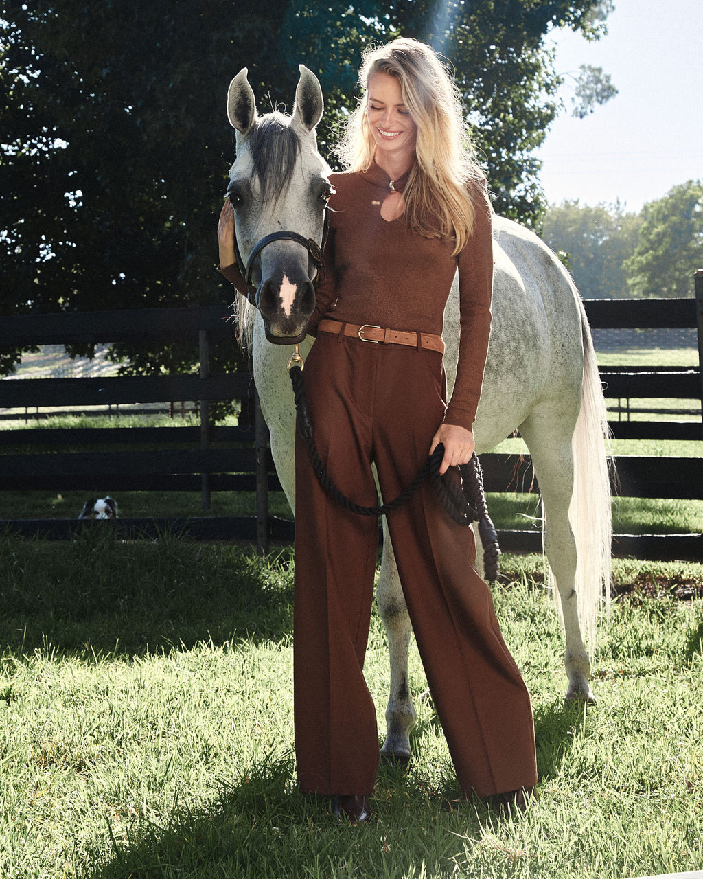 Ash Adjustable Waist Pants in espresso — alternate view
