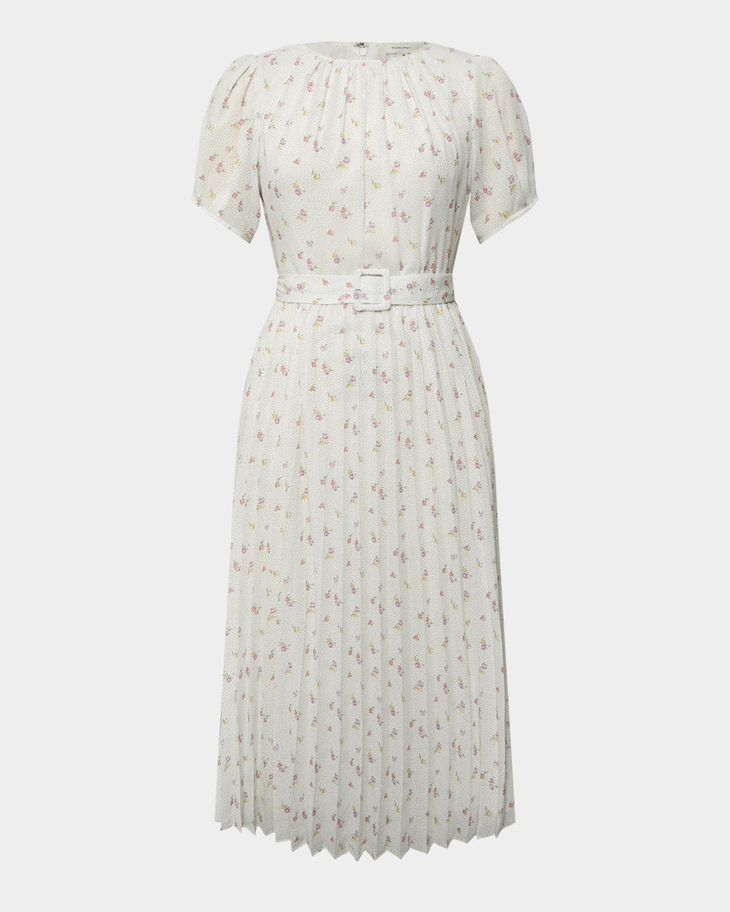 Etta Floral Pleated Dress in floral print — product-only view